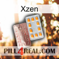 Xzen new13